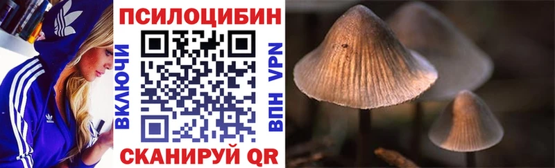 магазин    Абдулино  omg ТОР  Псилоцибиновые грибы MAGIC MUSHROOMS 